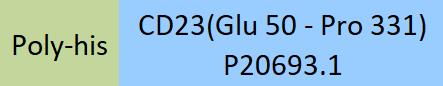 CD23 Structure