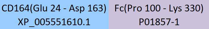 CD164 Structure