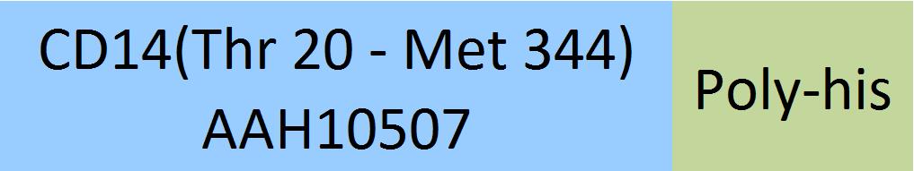 CD14 Structure