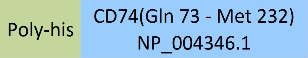 CD74 Structure