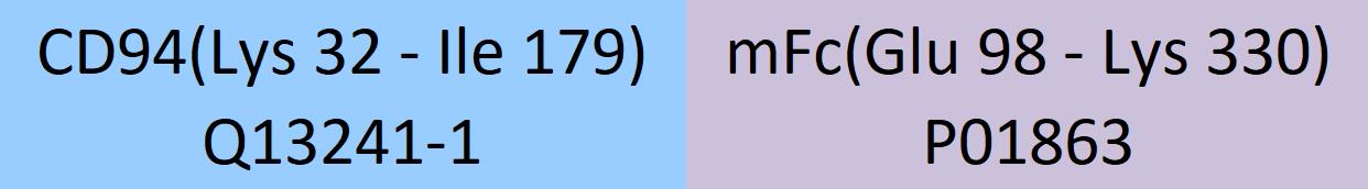 CD94 Structure