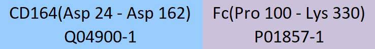 CD164 Structure