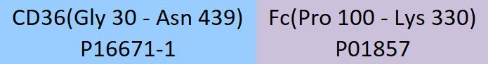 CD36 Structure