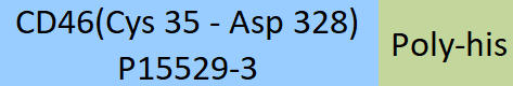 CD46 Structure