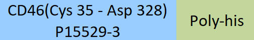 CD46 Structure