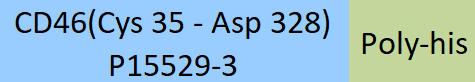 CD46 Structure