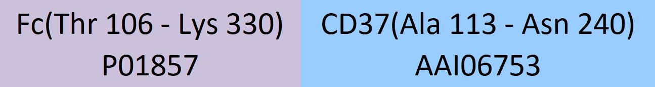 CD37 Structure
