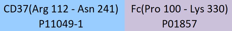 CD37 Structure