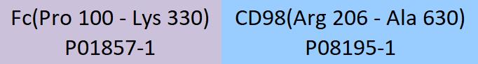 CD98 Structure