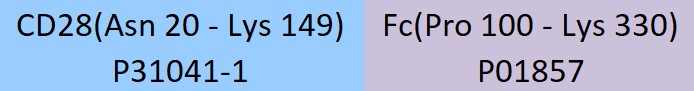 CD28 Structure