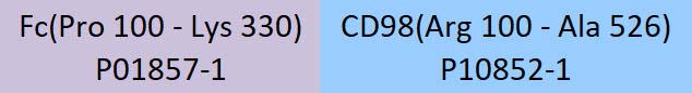 CD98 Structure