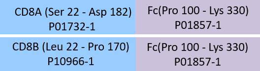 CD8 alpha & beta Structure