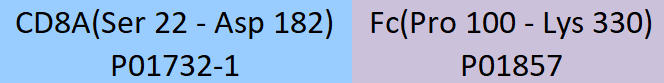 CD8 alpha Structure
