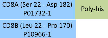 CD8 alpha & beta Structure