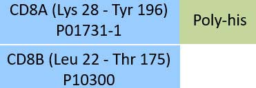 CD8 alpha & beta Structure
