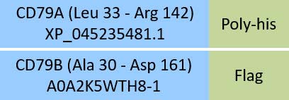 CD79A & CD79B Structure
