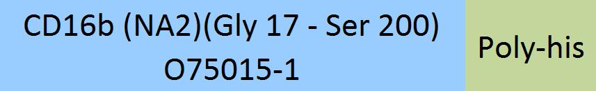 Fc gamma RIIIB / CD16b (NA2) Structure
