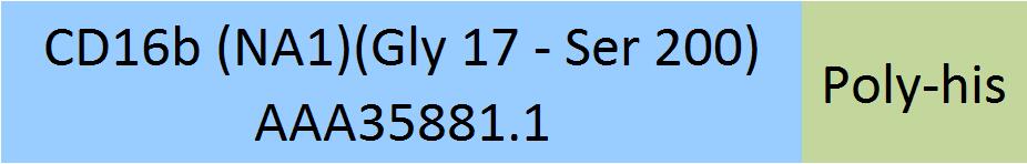 Fc gamma RIIIB / CD16b (NA1) Structure