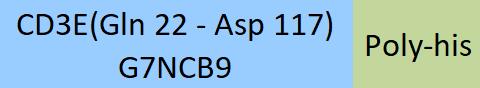 CD3 epsilon Structure