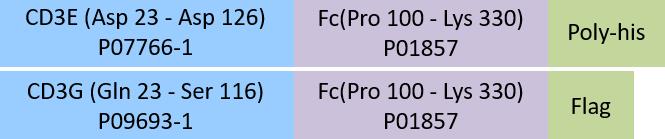 CD3E & CD3G Structure