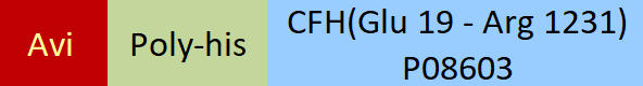 CFH Structure