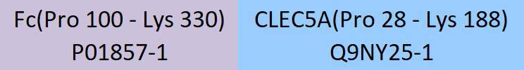 CLEC5A Structure
