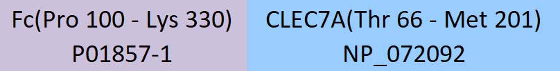 CLEC7A Structure