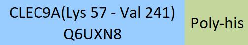 CLEC9A Structure