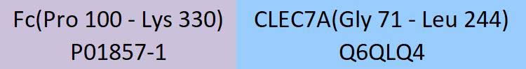 CLEC7A Structure