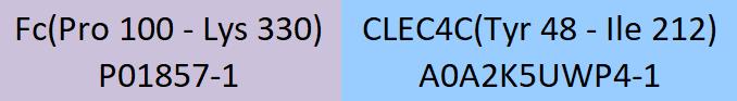 CLEC4C Structure