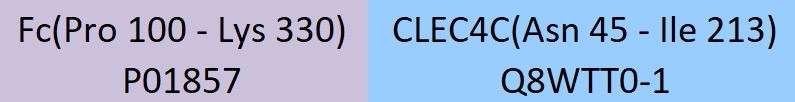 CLEC4C Structure