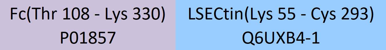 LSECtin Structure