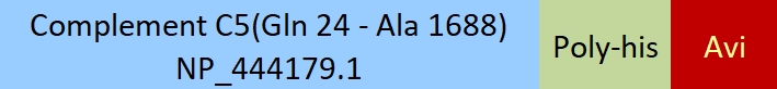 Complement C5 Structure