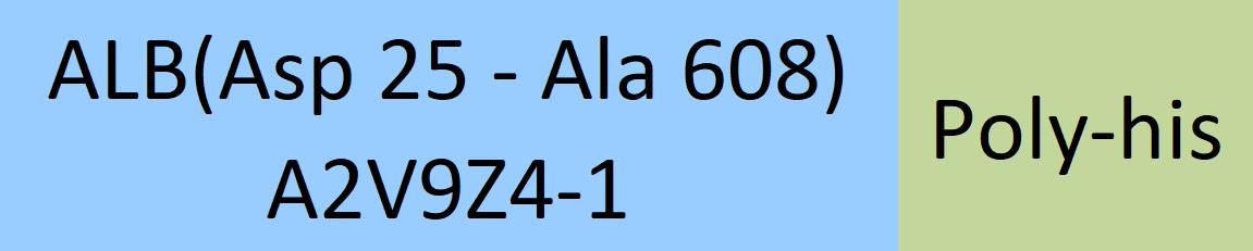 Serum Albumin Structure