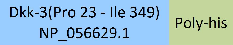 Dkk-3 Structure
