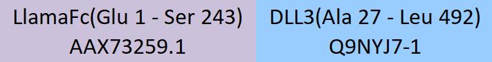 DLL3 Structure