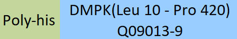 DMPK Structure