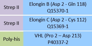 Elongin B & Elongin C & VHL Structure