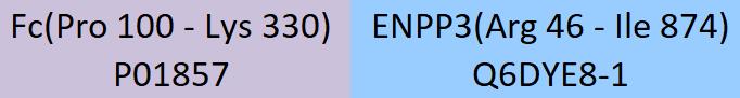 ENPP3 Structure