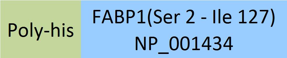 FABP1 Structure