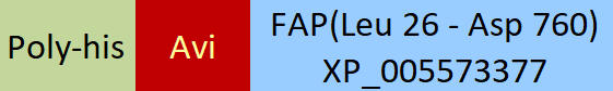 FAP Structure