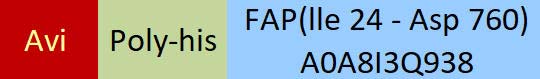 FAP Structure