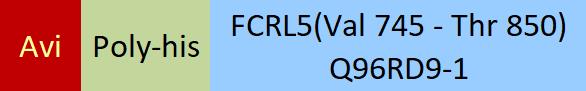 FCRL5 Structure