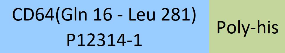 Fc gamma RI / CD64 Structure