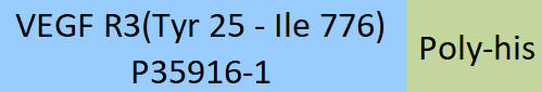 VEGF R3 Structure