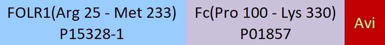 FOLR1 Structure