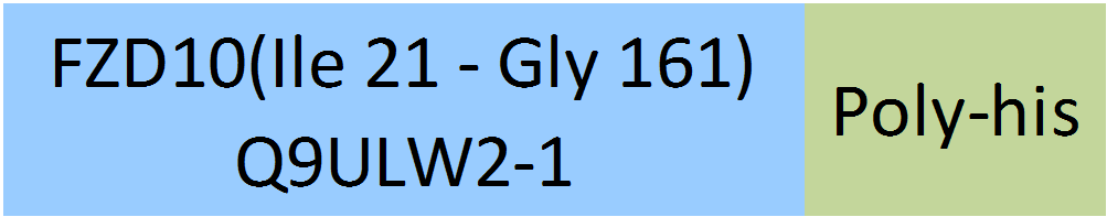 Frizzled-10 Structure