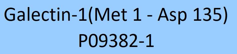 Galectin-1 Structure