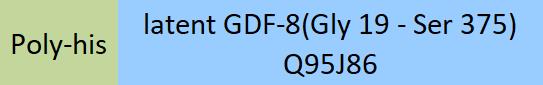 GDF-8 Structure