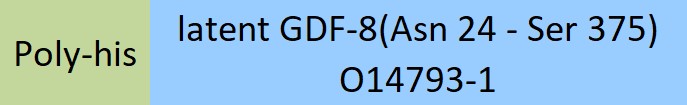 GDF-8 Structure